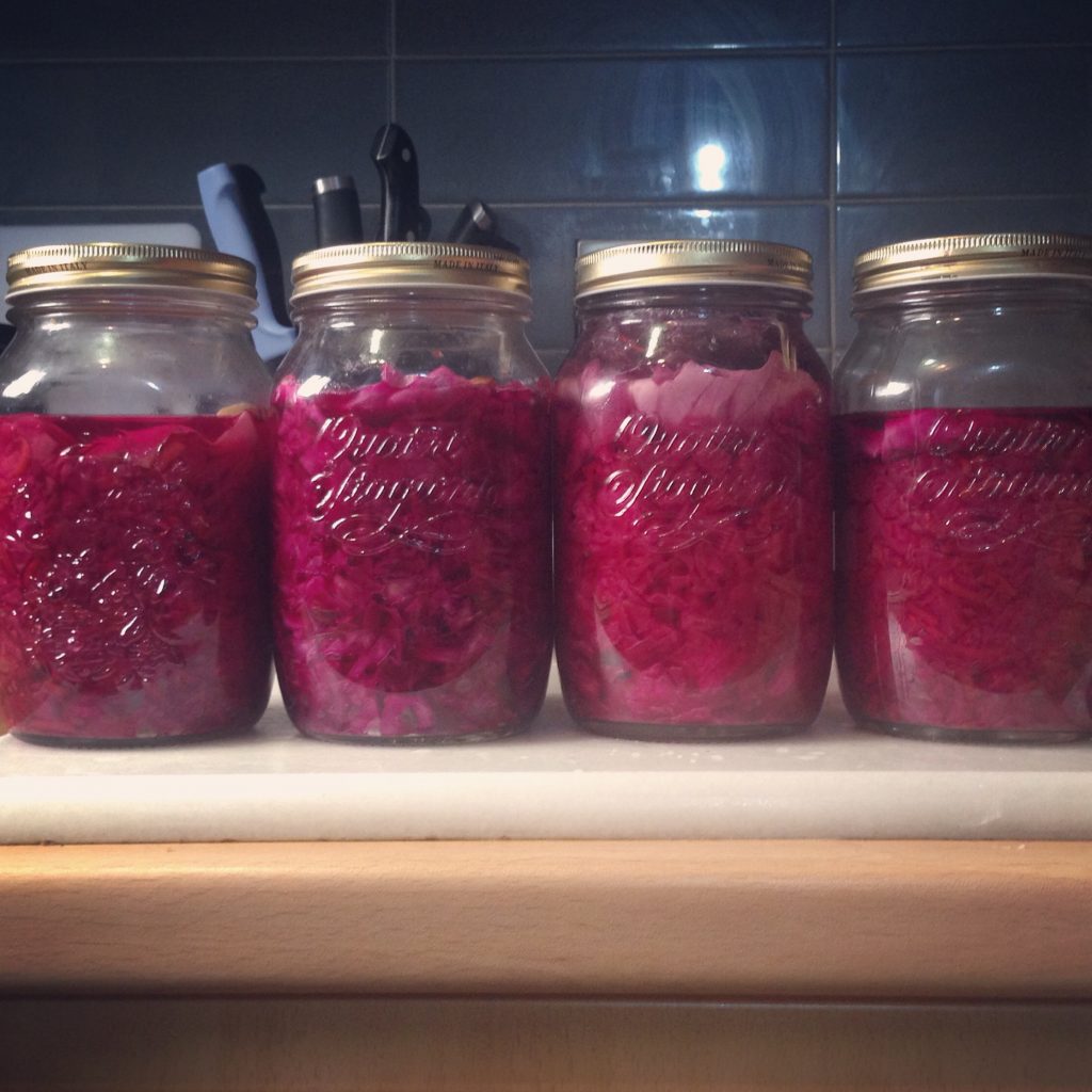 Sauerkraut made of red cabbage