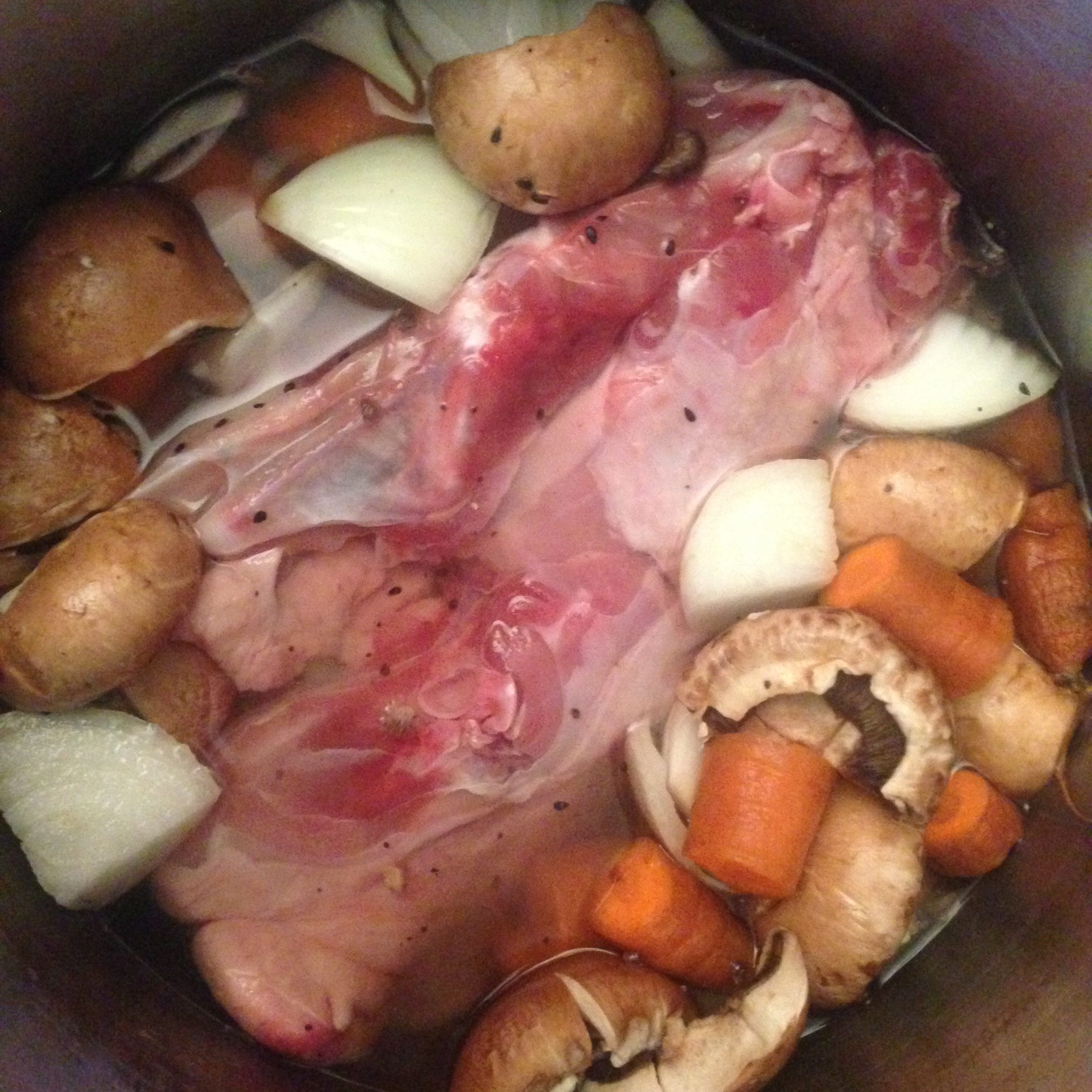 Chicken & Vegetable Soup - Thrifty, Child-friendly and Low Histamine