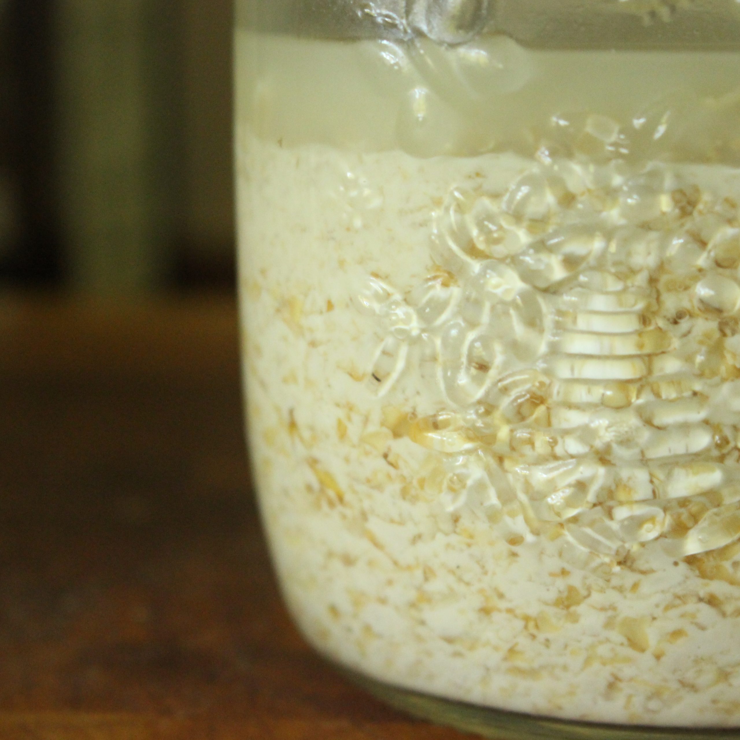 Fermenting_oats