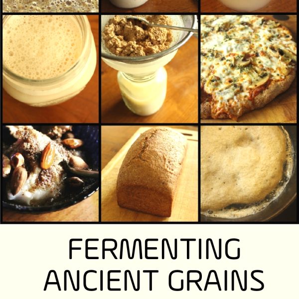 Fermenting_ancient_grains